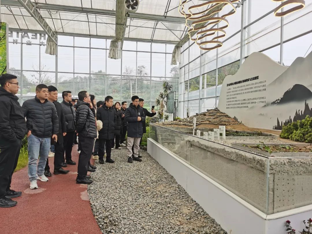 Les participants à la 9e Conférence internationale sur les granulats de sable et de gravier de Chine ont visité Chongqing Daye Building Materials pour une visite et un échange.